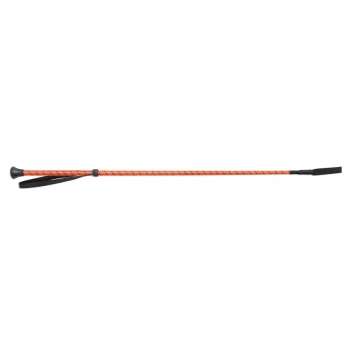 7670_orange_7.webp