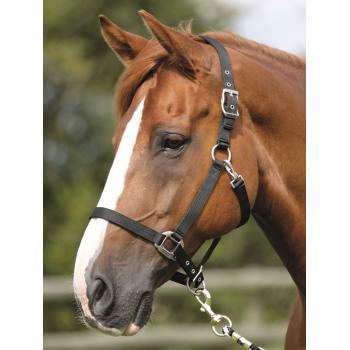 Horse PP Head Collar-Black.jpg