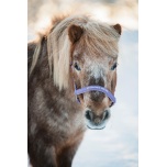 Päitsed "My Favorite Unicorn" / Montana Grape, full