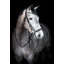 505483001 cryll24.2 2.webp