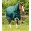 Buster-200-Turnout-Rug-Green-1_1600x.jpg