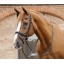 Pietro-Laced-Reins-1--Black----Webx900.jpg